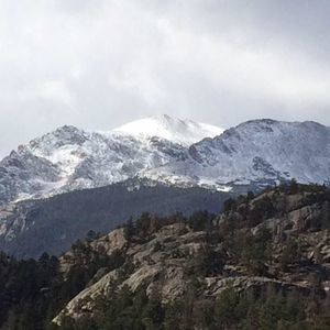 Meet your Posher, Josh